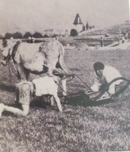 "Sandios" eta" Guadaña"