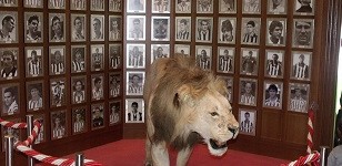 hamaikatabat San Mamesen