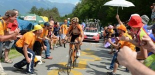 eukaldunak Pirinioetan